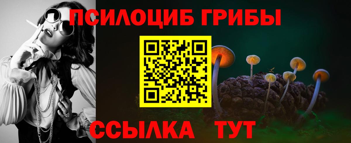 Псилоцибиновые грибы MAGIC MUSHROOMS  купить наркотик  Киселёвск  Псилоцибиновые грибы Cubensis  Вход с VPN 